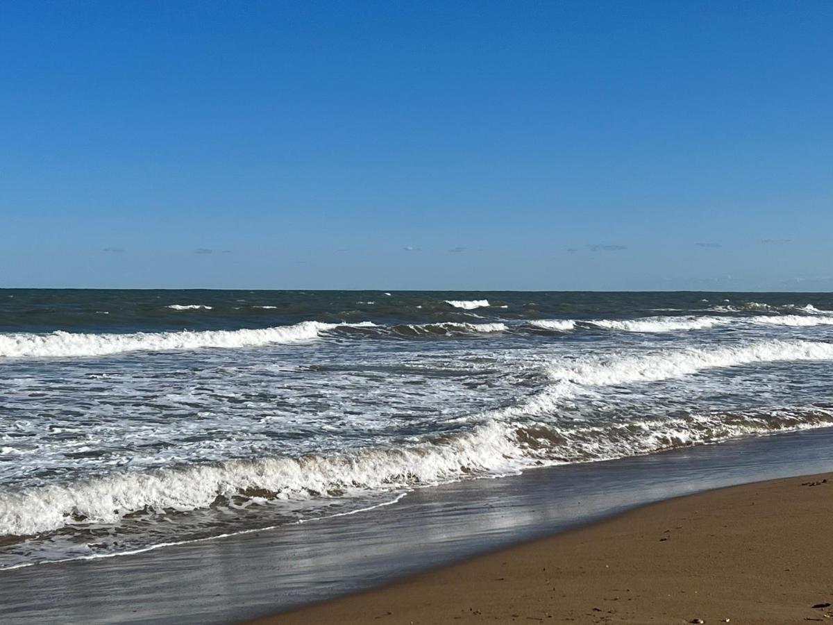 Piso Los Angeles - 1Ra Linea De Playa دينايا المظهر الخارجي الصورة